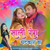 About Sali Rang Chatkar Ba Song